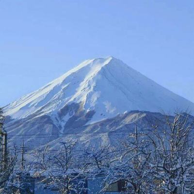 传奇皇朝手游(暂未上线)v1.0 安卓版